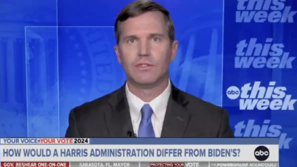 Dem Governor Flounders After ABC's Raddatz Presses Him on How Harris Would Stand Out from Biden: 'We are all Different Individuals'